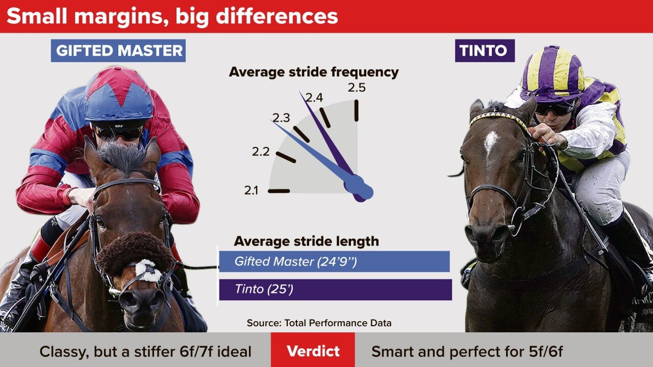 191116 Racing Post graphic.jpeg