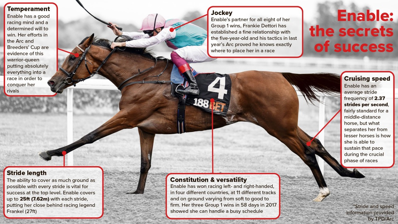 (C) Racing Post