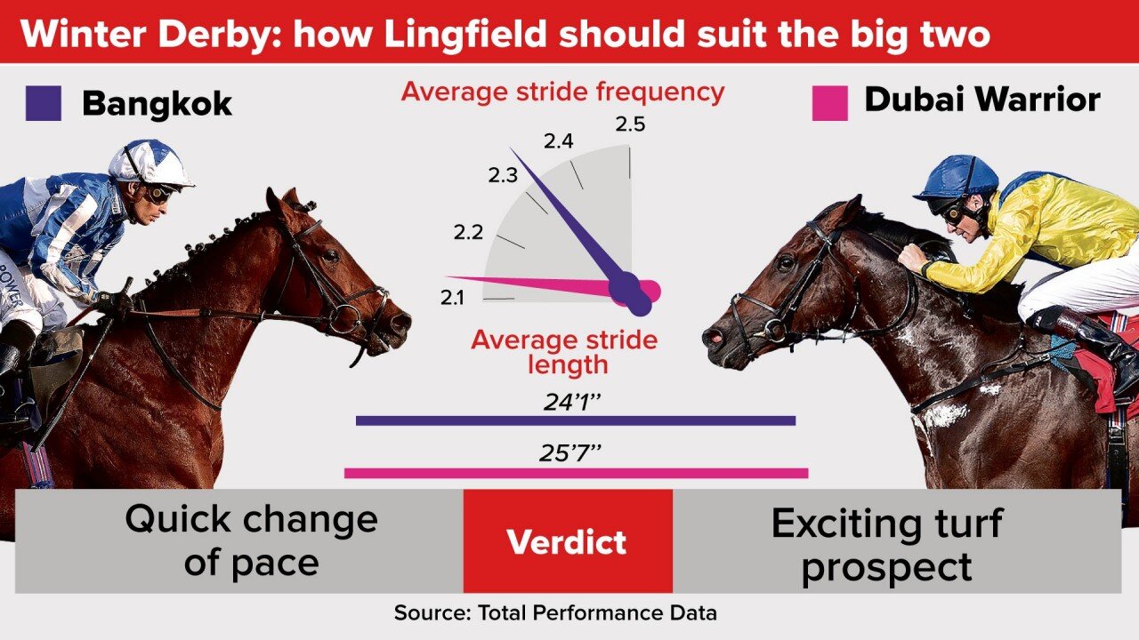 200222 Racing Post Graphic.jpeg