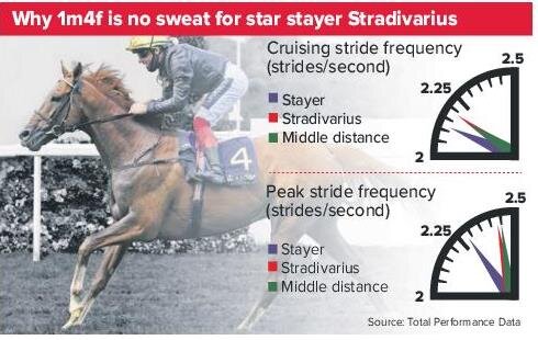 201002 Racing Post graphic.jpg