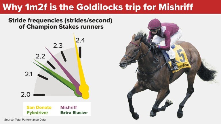 201016 Racing Post graphic.jpeg