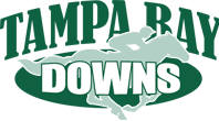 Tampa Bay Logo.png