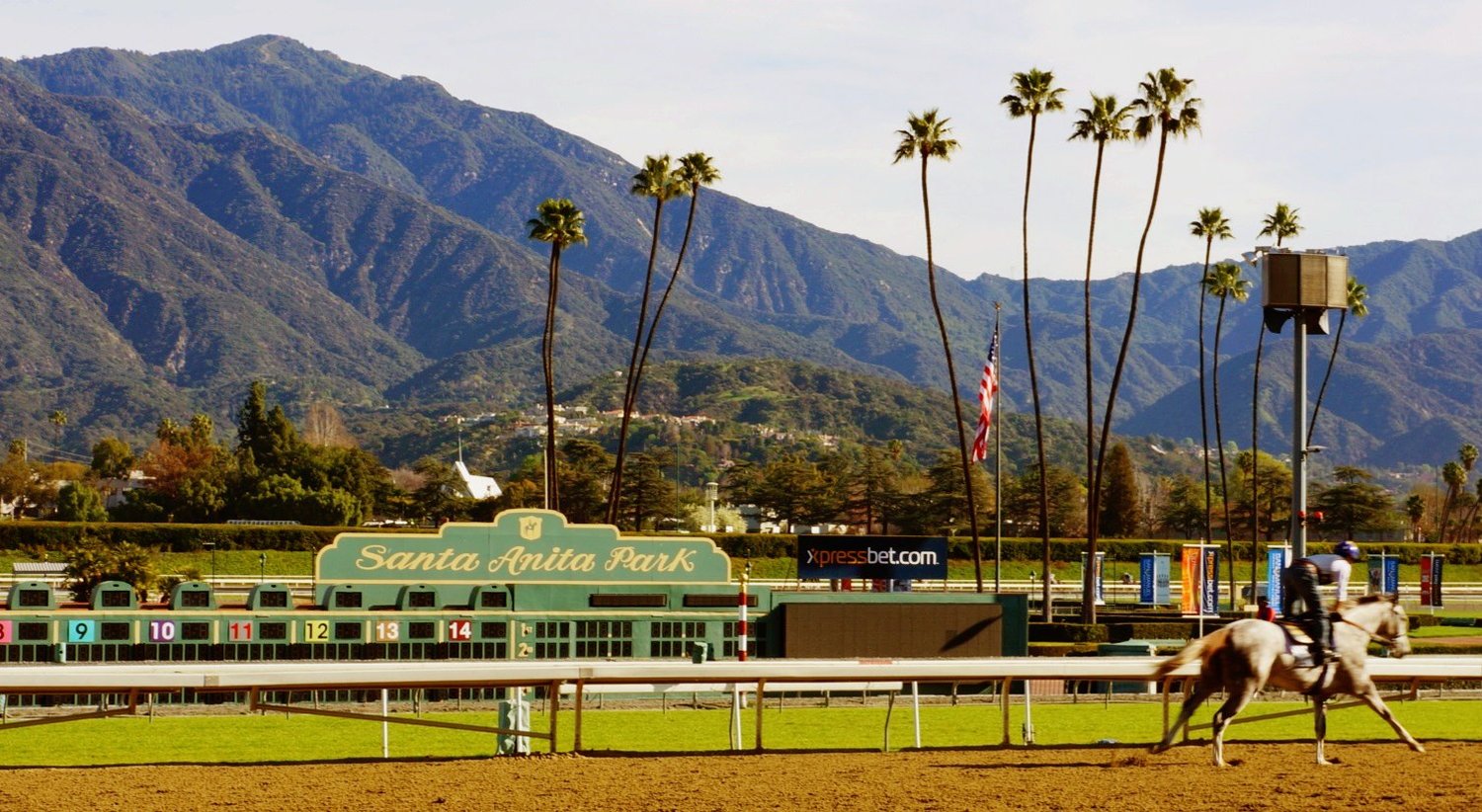 Breeders’ Cup 2023 venue joins Total Performance Data’s portfolio ...