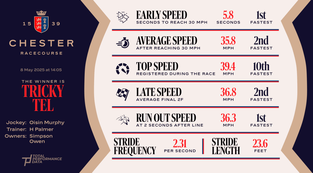 An Infographic showing the data for Tricky Tel, who was victorious at the Chester at the start of May