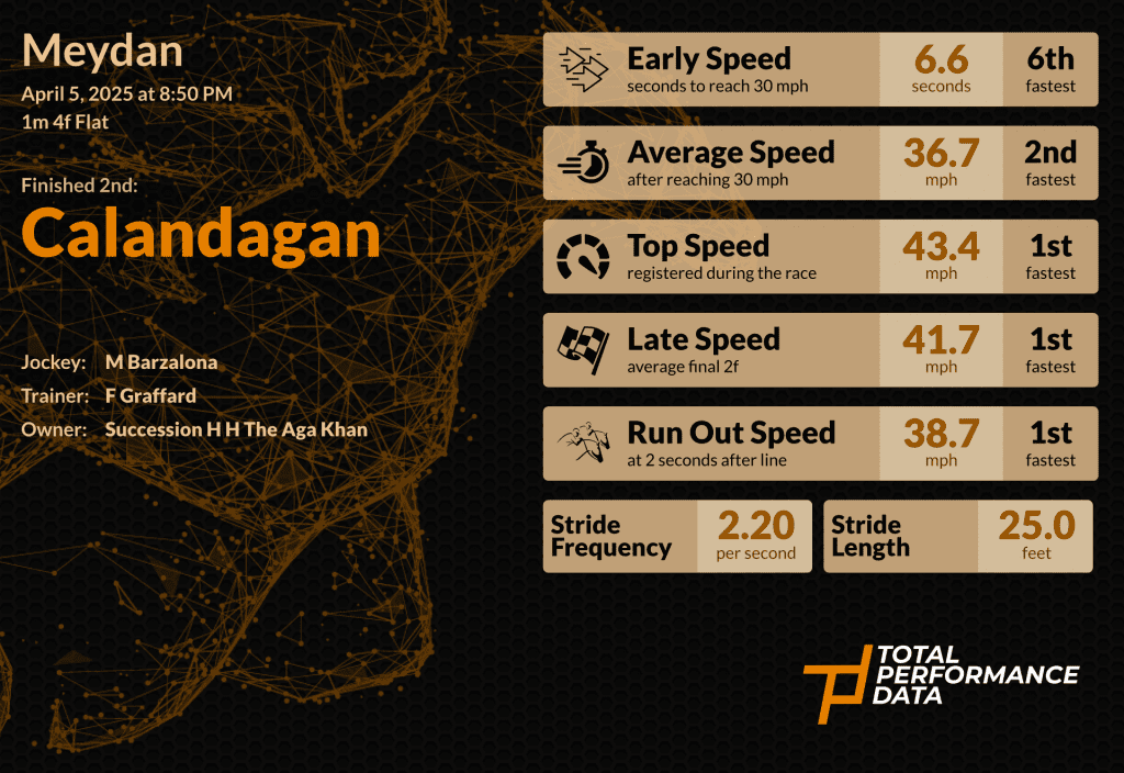 An Infographic showing the data for Calandagan, who finished 2nd in the Dubai Sheema Classic in 2025