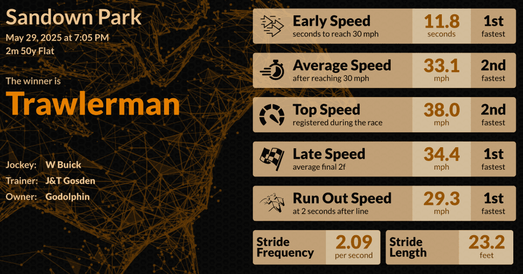 An infographic showing the data for Trawlerman, who won the Henry II Stakes at Sandown