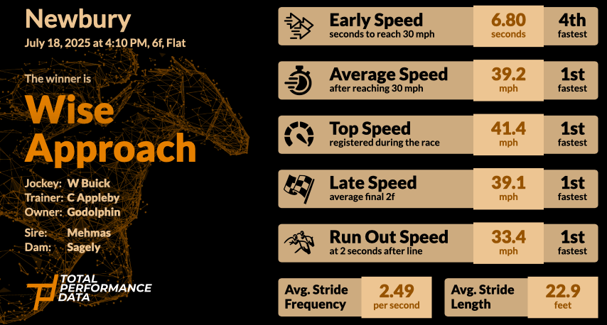 Data for Wise Approach, the winner of the Rose Bowl Stakes at Newbury