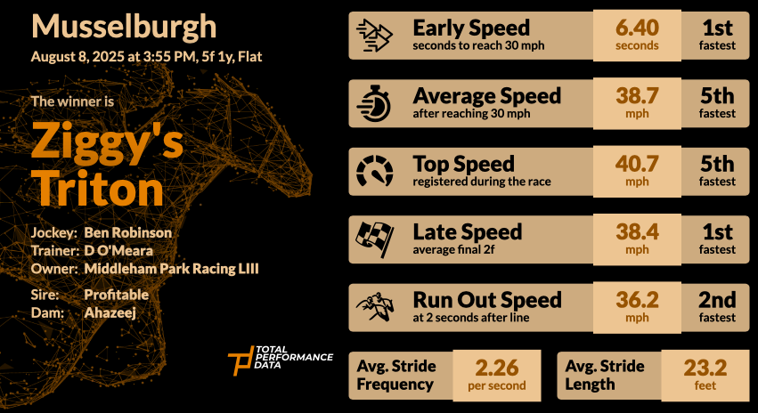 Data for Ziggy's Triton, a recent winner at Musselburgh