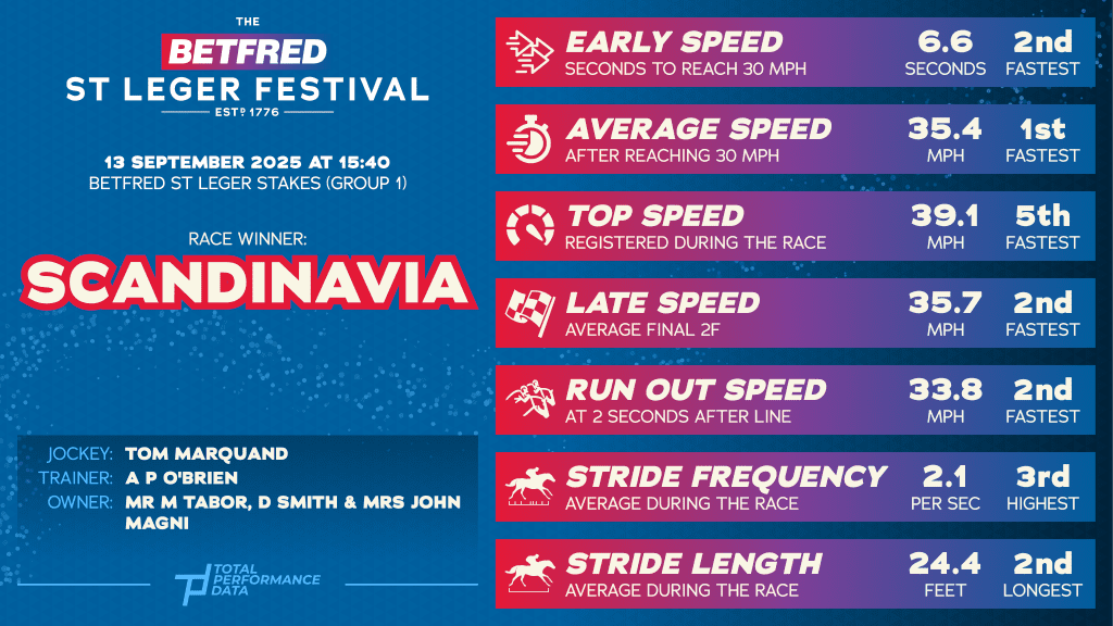 Data for Scandinavia, winner of the St Leger 2025