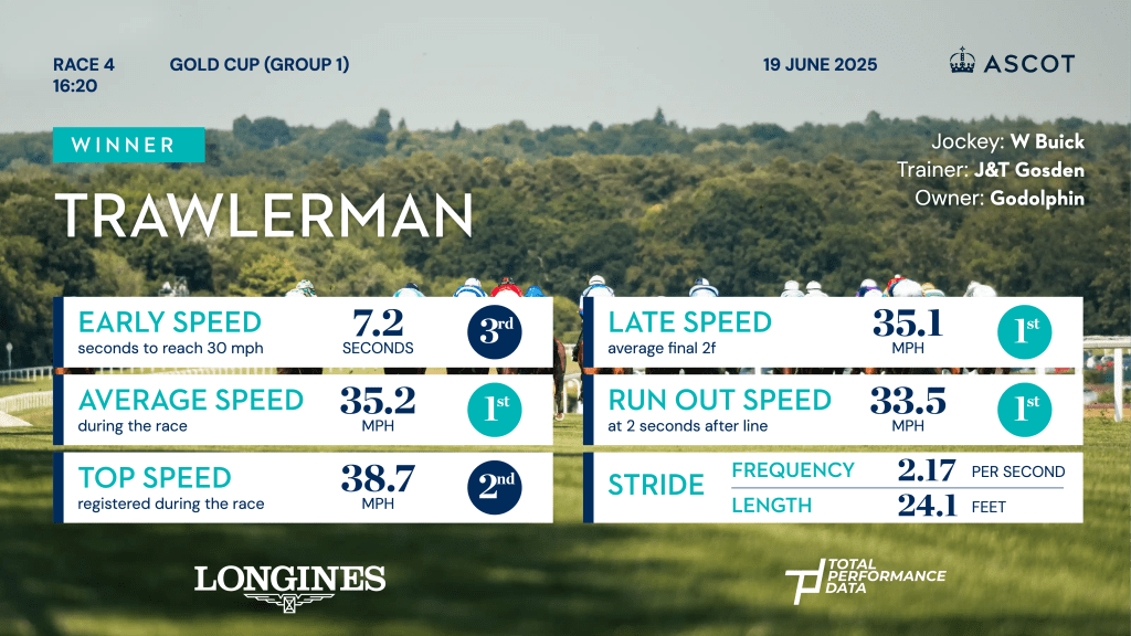 Data for Trawlerman, the winner of the Ascot Gold Cup 2025