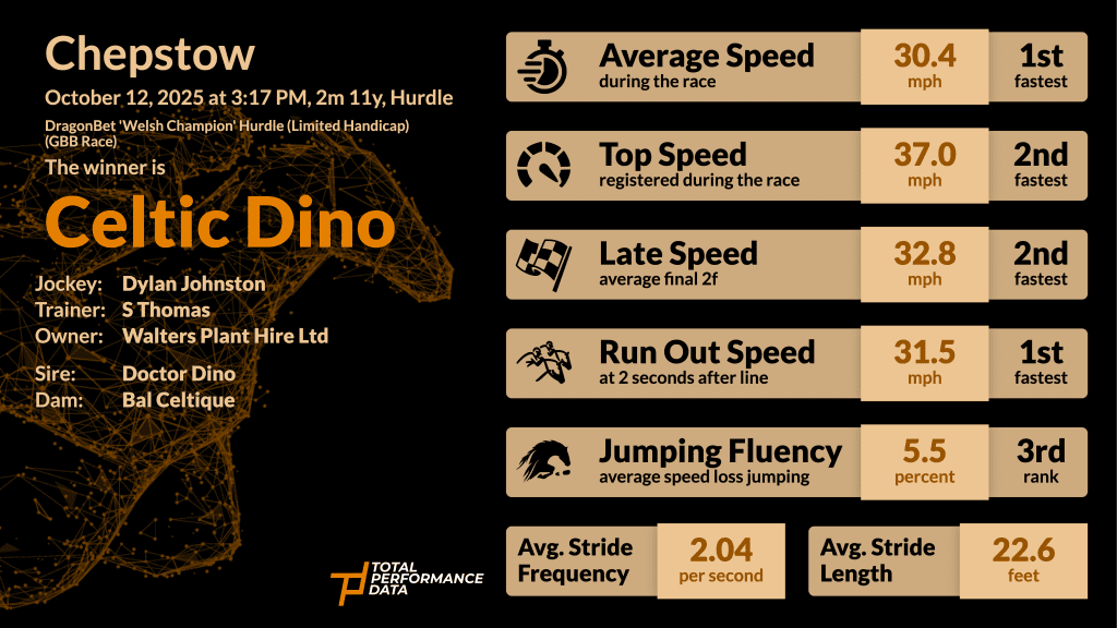 Data for Celtic Dino, the winner of the Welsh Champion Hurdle 2025