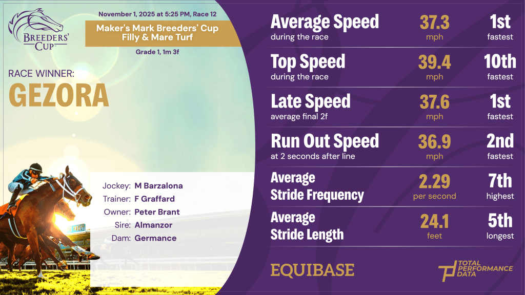 Data for Gezora, winner of the BC Filly & Mare Turf 2025