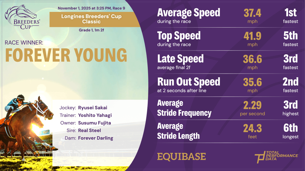 The data for Forever Young, the winner of the Breeders' Cup Classic 2025