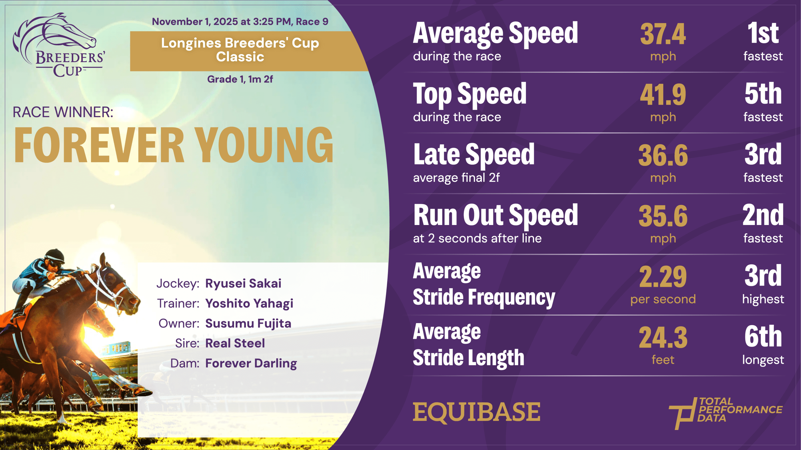 The data for Forever Young, the winner of the Breeders' Cup Classic 2025