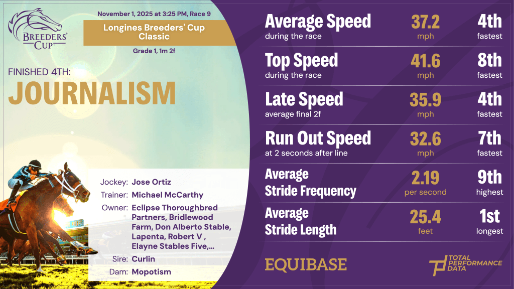 Data for Journalism, 4th in the Breeders' Cup Classic 2025