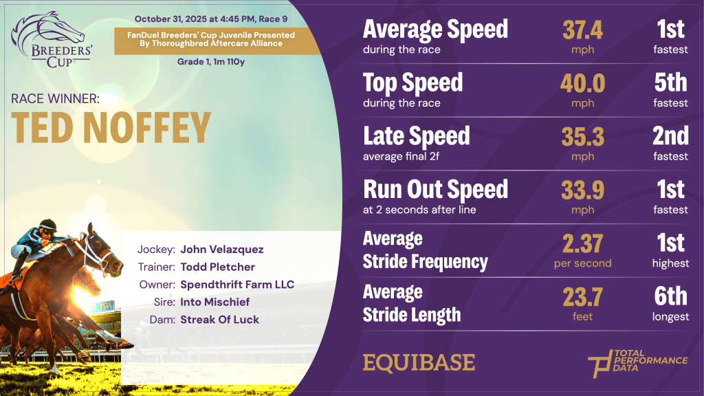 Data for Ted Noffey, the winner of the Breeders' Cup Juvenile 2025