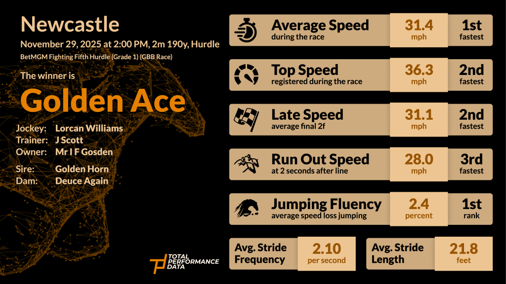 Data infographic for Golden Ace, the winner of the BetMGM Fighting Fifth Hurdle