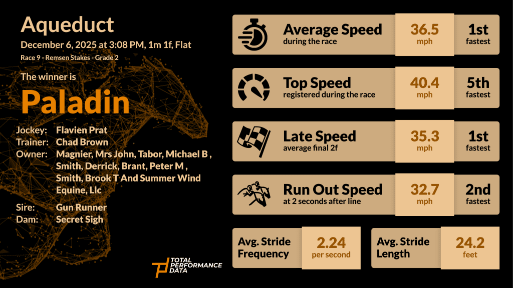 Data Infographic for Paladin, the winner of the Remsen Stakes 2025