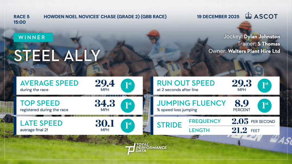 Data Infographic for Steel Ally, the winner of the Noel Novices' Chase at Ascot
