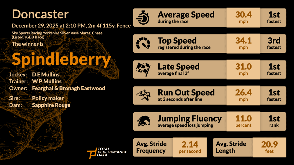 Data Infographic for Spindleberry, the winner of the Yorkshire Silver Vase Mares' Chase at Doncaster