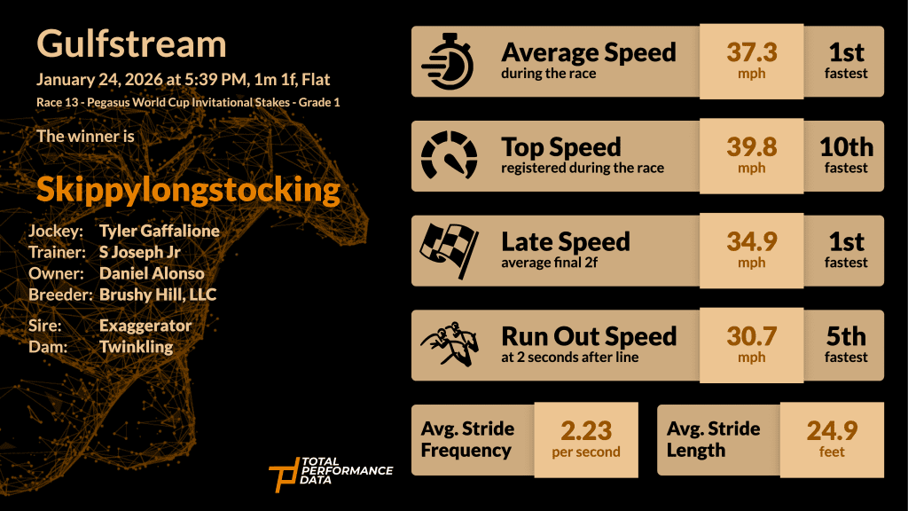 Data Infographic for Skippylongstocking, the winner of the Pegasus World Cup 2026
