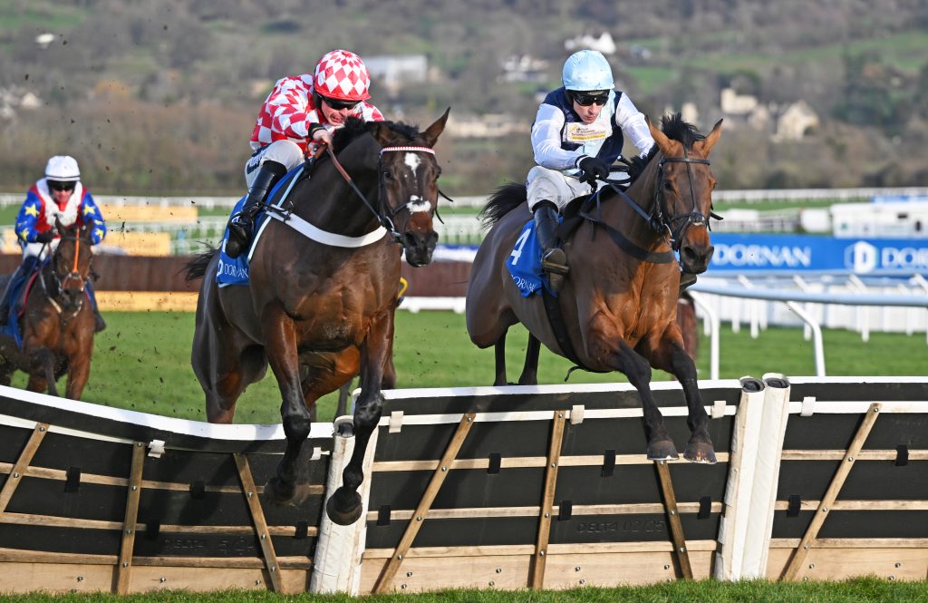 Kabral du Mathan jumping the last hurdle in the Relkeel Hurdle at Cheltenham