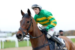 The New Lion on the way to post at Newcastle in December