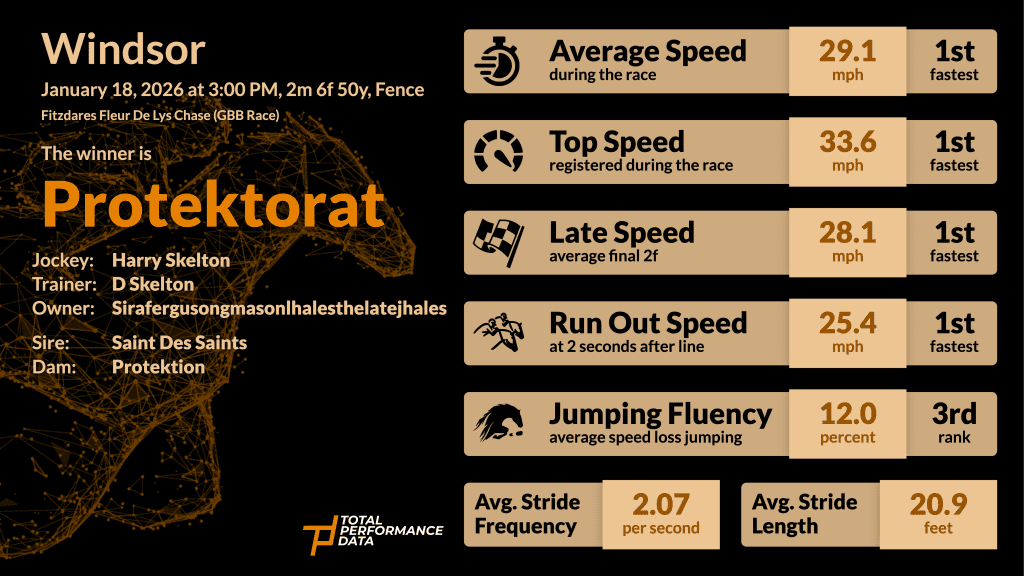 A Data Infographic for Protektorat, the winner of the Fitzdares Fleur de Lys Chase